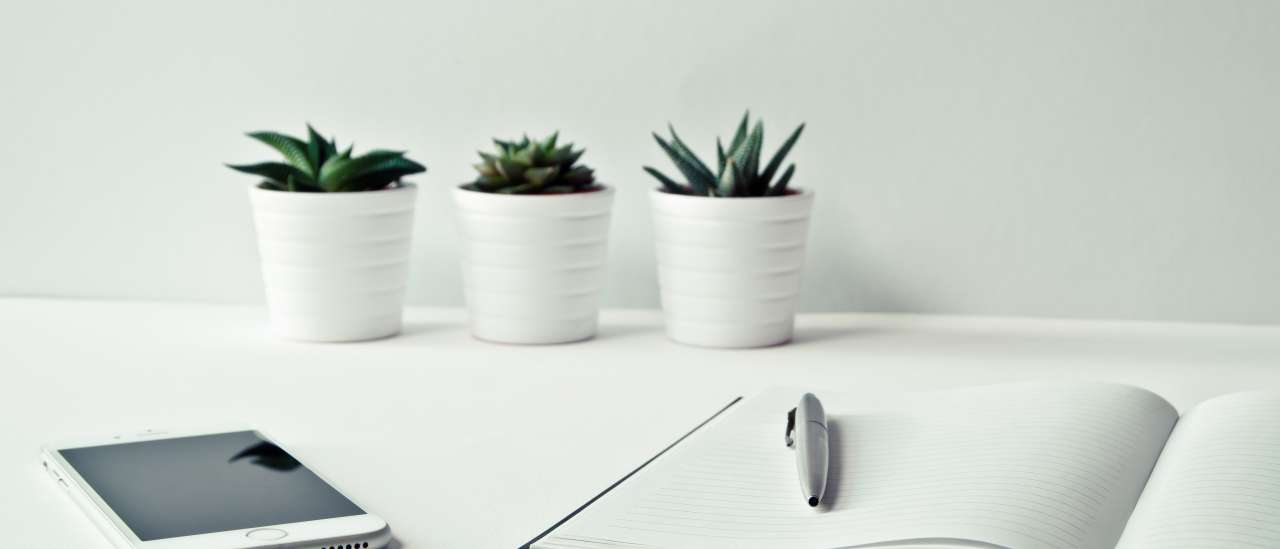 pexels ylanite koppens 796602